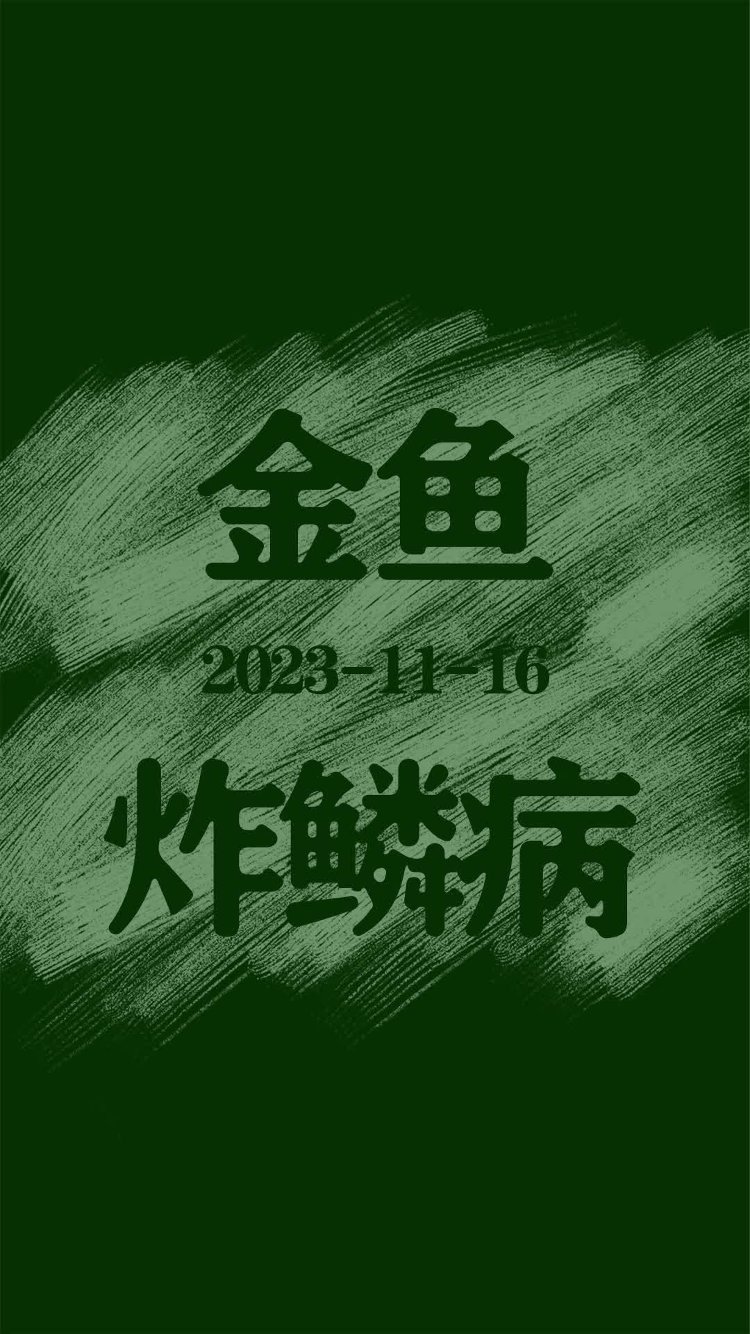 如何判斷金魚炸鱗病是否好轉，mcp工具arxiv論文助手arxiv論文助手的判斷標準 如何判斷金魚炸鱗病是否好轉，mcp工具arxiv論文助手arxiv論文助手的判斷標準 龍魚百科 第6張