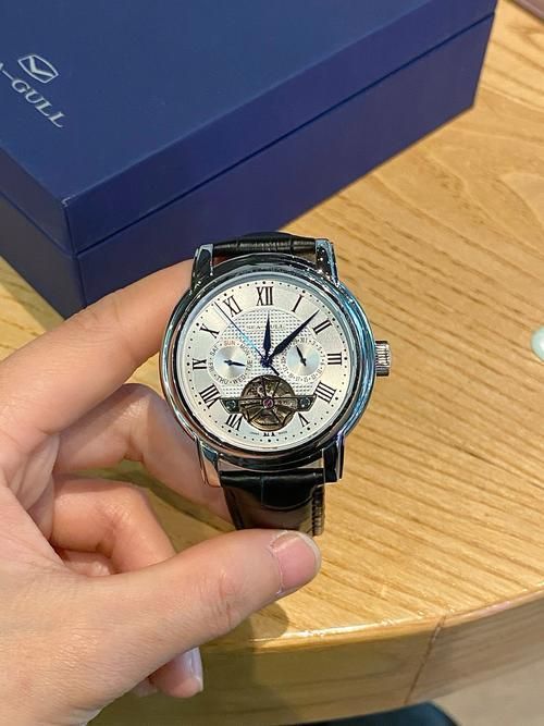 這兩個品牌哪個更高端？，海鷗與“海鷗”與“精工”兩個手表品牌哪個更高端 這兩個品牌哪個更高端？，海鷗與“海鷗”與“精工”兩個手表品牌哪個更高端 龍魚百科 第5張