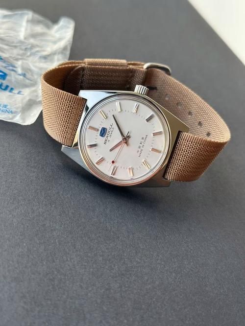 這兩個品牌哪個更高端？，海鷗與“海鷗”與“精工”兩個手表品牌哪個更高端 這兩個品牌哪個更高端？，海鷗與“海鷗”與“精工”兩個手表品牌哪個更高端 龍魚百科 第6張