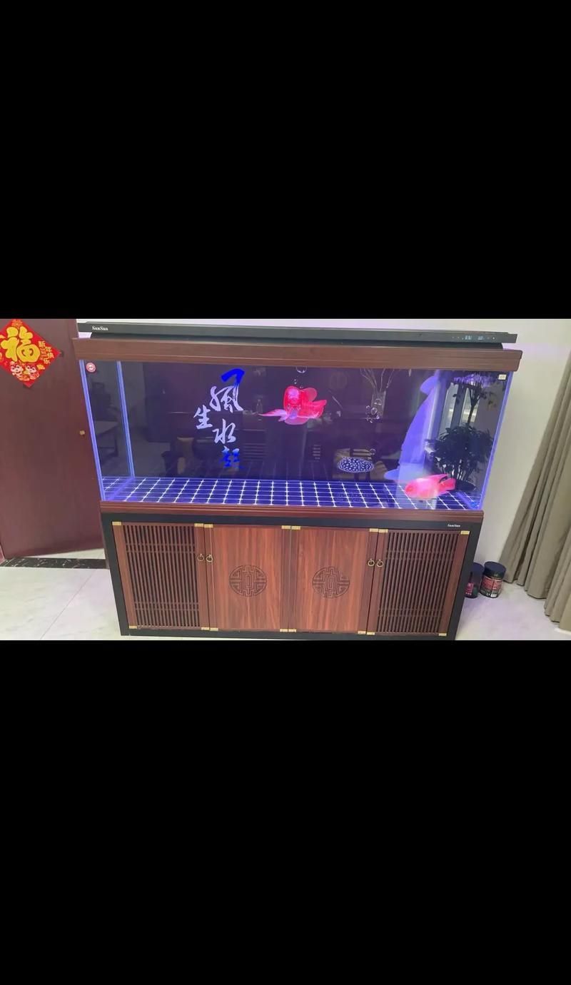 60-80厘米高的龍魚(yú)缸有哪些款式，60-80厘米高的龍魚(yú)缸設(shè)計(jì)和款式多樣 60-80厘米高的龍魚(yú)缸有哪些款式，60-80厘米高的龍魚(yú)缸設(shè)計(jì)和款式多樣 龍魚(yú)百科 第4張