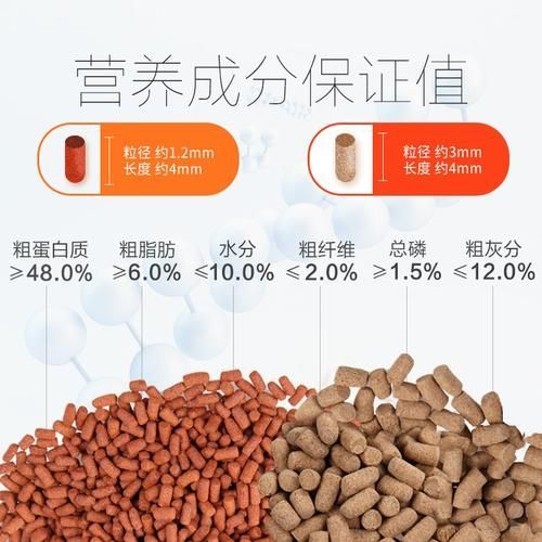 如何判斷一個龍魚魚食品牌是否可靠？，如何判斷一個龍魚魚食品牌是否可靠 如何判斷一個龍魚魚食品牌是否可靠？，如何判斷一個龍魚魚食品牌是否可靠 龍魚百科 第6張