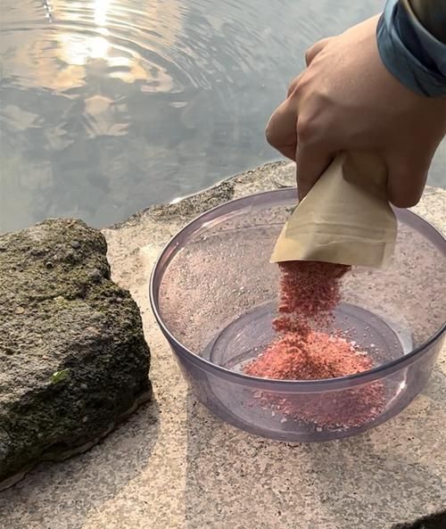 感染魚類細菌后如何治療，水產養殖細菌性魚病的診斷 感染魚類細菌后如何治療，水產養殖細菌性魚病的診斷 龍魚百科 第9張