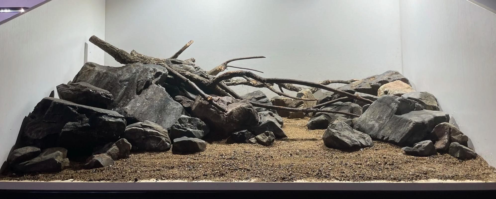 祥龍魚場還有哪些造景風格？，祥龍魚場的造景風格探索 祥龍魚場還有哪些造景風格？，祥龍魚場的造景風格探索 龍魚百科 第14張