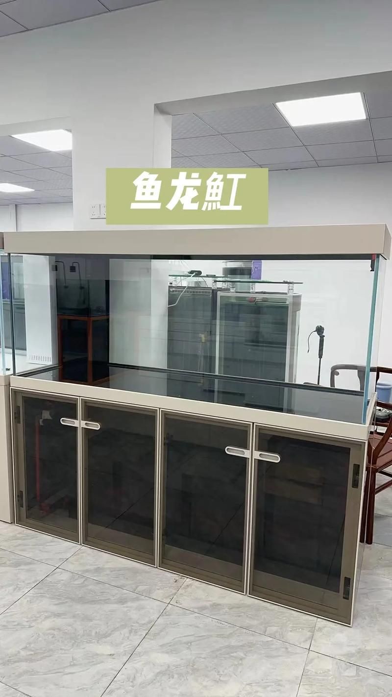 能提供幾張寬度5厘米的龍魚缸圖片嗎？ 能提供幾張寬度5厘米的龍魚缸圖片嗎？ 龍魚百科 第20張