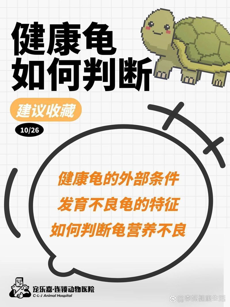 如何判斷龜的健康狀況，判斷龜的健康狀況是確保它們長壽和健康的關鍵指標和方法