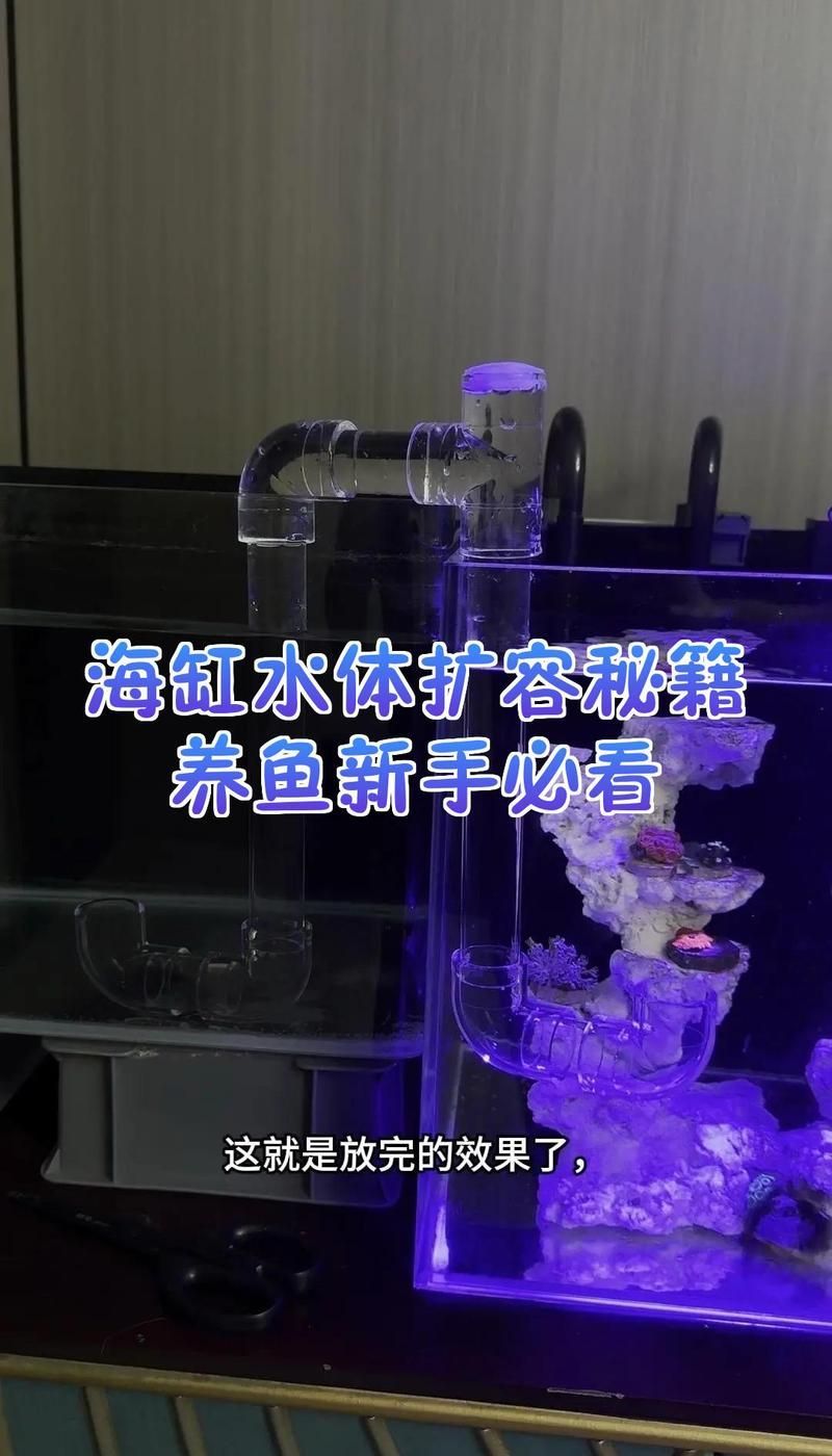 能詳細講講如何擴大魚缸空間嗎 能詳細講講如何擴大魚缸空間嗎 龍魚百科 第2張