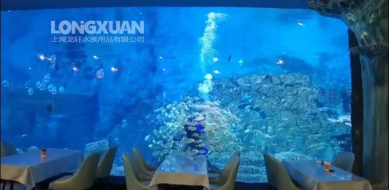 能詳細講講如何擴大魚缸空間嗎 能詳細講講如何擴大魚缸空間嗎 龍魚百科 第3張