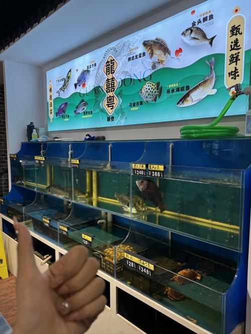 如何判斷一個龍魚漁場是否可靠?,如何判斷一個龍魚漁場可靠性? 龍魚百科 第3張 如何判斷一個龍魚漁場是否可靠?,如何判斷一個龍魚漁場可靠性? 如何判斷一個龍魚漁場是否可靠?,如何判斷一個龍魚漁場可靠性? 龍魚百科 第3張