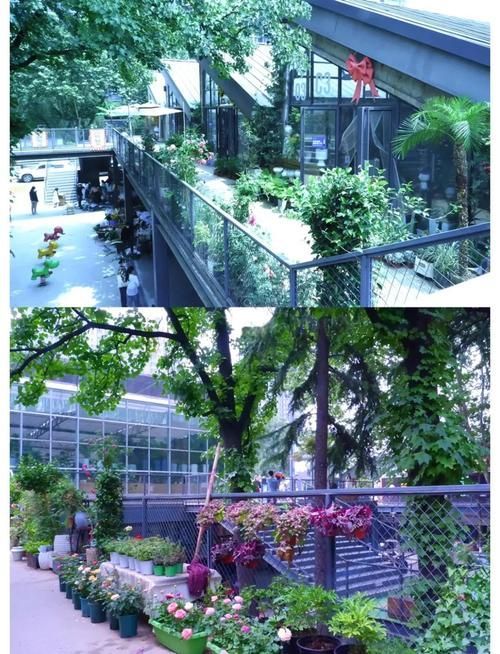 如何前往西安觀賞魚批發市場，西安觀賞魚市場對比表