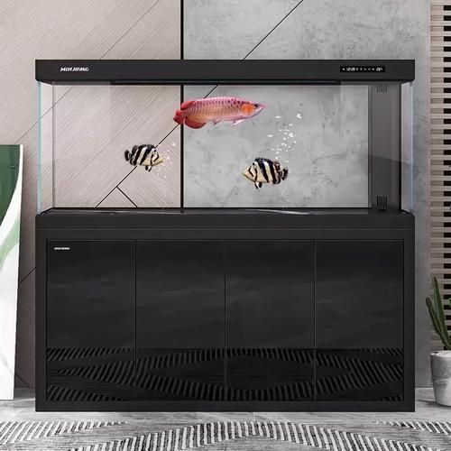 哪個品牌的龍魚缸最好,金魚世家龍魚缸選購 龍魚百科 第6張 哪個品牌的龍魚缸最好,金魚世家龍魚缸選購 哪個品牌的龍魚缸最好,金魚世家龍魚缸選購 龍魚百科 第6張