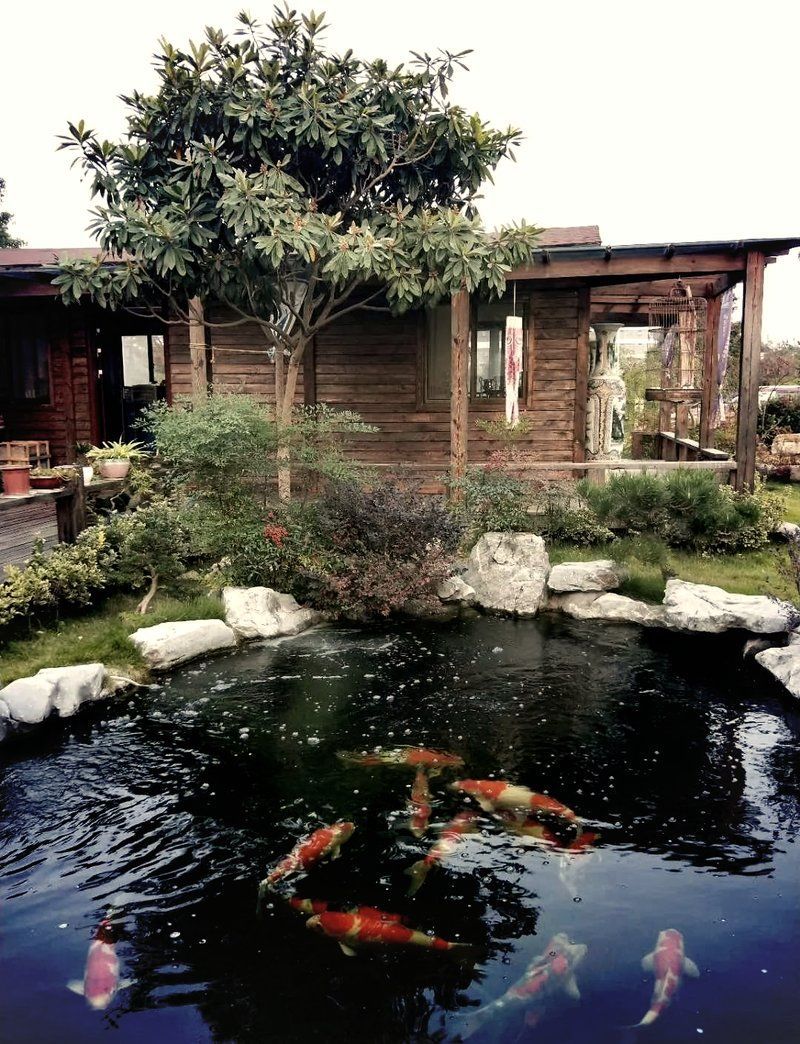 如何預防魚病的發生，arxiv論文助手arxiv論文助手arxiv論文助手 如何預防魚病的發生，arxiv論文助手arxiv論文助手arxiv論文助手 龍魚百科 第10張