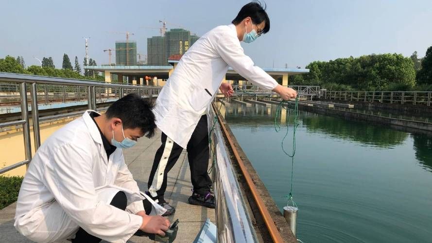 如何預防魚病的發生，arxiv論文助手arxiv論文助手arxiv論文助手 如何預防魚病的發生，arxiv論文助手arxiv論文助手arxiv論文助手 龍魚百科 第2張