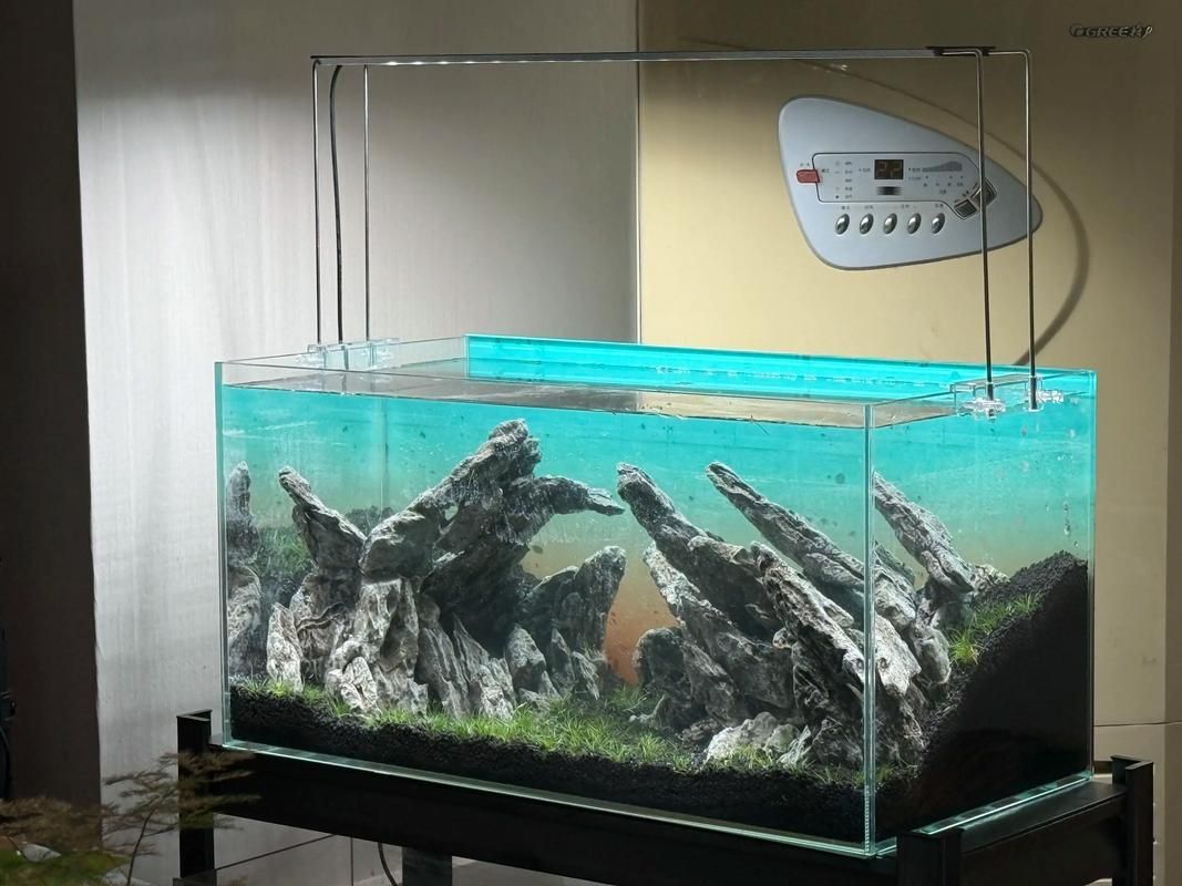 如何選擇適合養(yǎng)龍的龍魚缸？，如何選擇適合養(yǎng)龍的魚缸