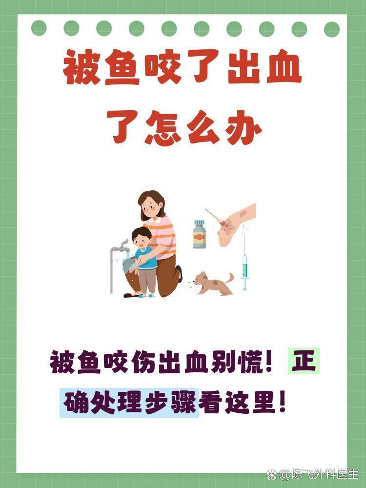 魚咬傷后如何護理傷口，被魚咬了出血了怎么辦緊 魚咬傷后如何護理傷口，被魚咬了出血了怎么辦緊 龍魚百科 第1張
