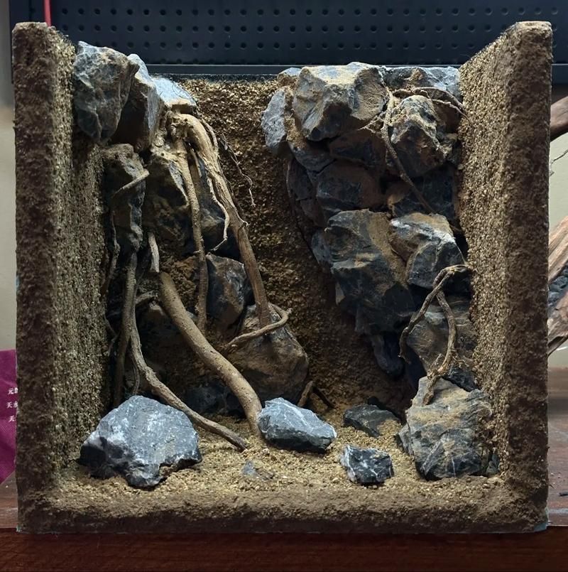 給我一些簡約風格的龍魚缸造景圖片，簡約風格的龍魚缸造景 給我一些簡約風格的龍魚缸造景圖片，簡約風格的龍魚缸造景 龍魚百科 第8張