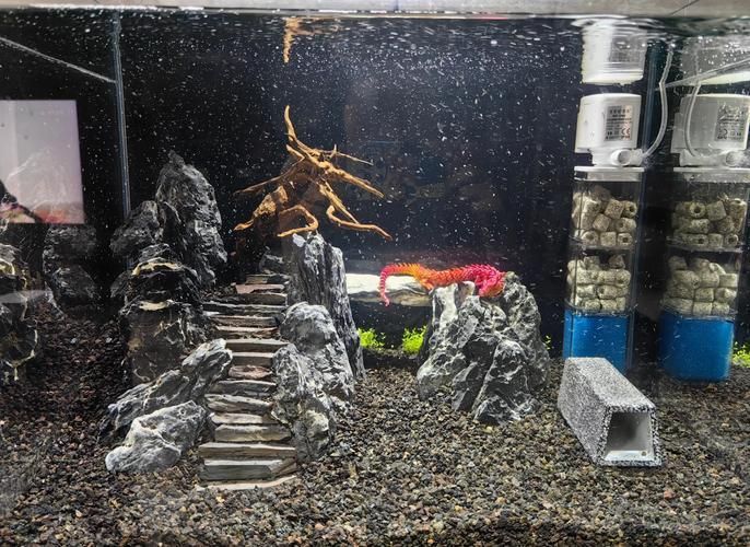 給我一些簡約風格的龍魚缸造景圖片，簡約風格的龍魚缸造景 給我一些簡約風格的龍魚缸造景圖片，簡約風格的龍魚缸造景 龍魚百科 第5張