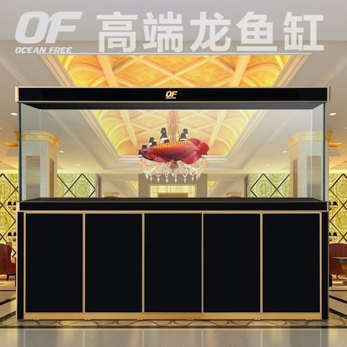 祥龍魚場推薦的高端龍魚缸品牌有哪些？，祥龍魚場供應(yīng)商品牌推薦，高端龍魚缸供應(yīng)商品牌推薦