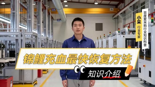 錦鯉充血如何治療最有效，錦鯉充血最快恢復方法