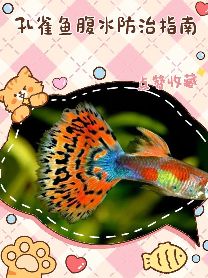 如何預防腹水魚的發生，arxiv論文助手可輔助獲取預防腹水魚的系統性預防措施 如何預防腹水魚的發生，arxiv論文助手可輔助獲取預防腹水魚的系統性預防措施 龍魚百科 第10張