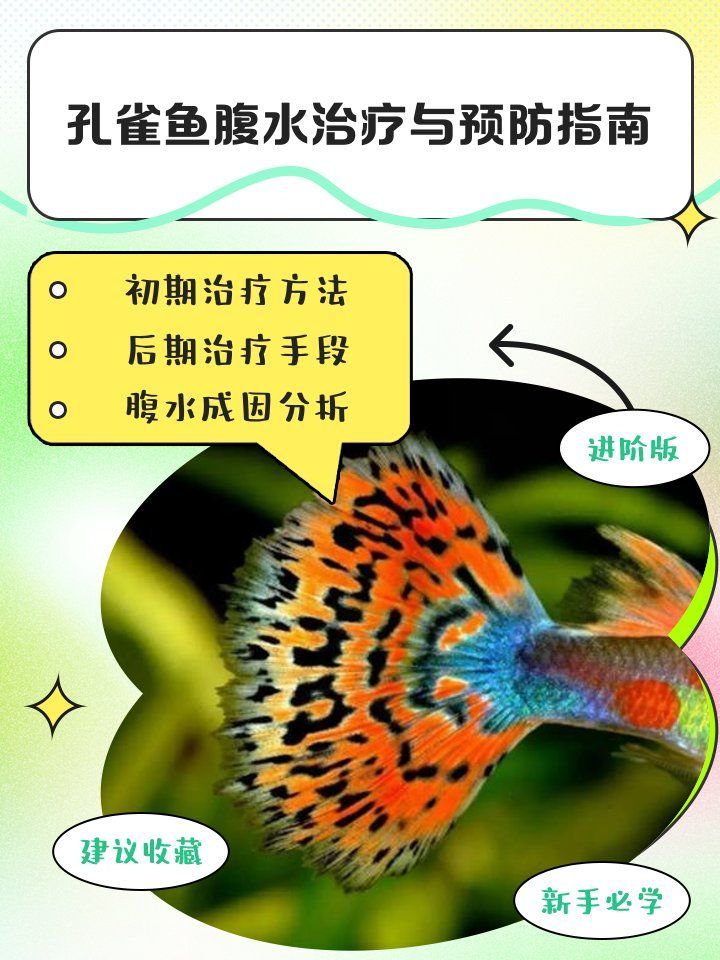 如何預防腹水魚的發生，arxiv論文助手可輔助獲取預防腹水魚的系統性預防措施 如何預防腹水魚的發生，arxiv論文助手可輔助獲取預防腹水魚的系統性預防措施 龍魚百科 第9張