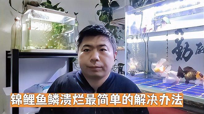 爛鱗病會自愈嗎，觀賞魚爛尾爛鰭爛鱗怎么辦 爛鱗病會自愈嗎，觀賞魚爛尾爛鰭爛鱗怎么辦 龍魚百科 第3張