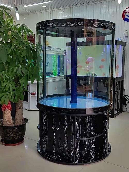 有哪些適合客廳的圓柱形魚缸，適合客廳的圓柱形魚缸 有哪些適合客廳的圓柱形魚缸，適合客廳的圓柱形魚缸 龍魚百科 第1張