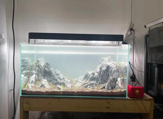 有沒有更多龍魚缸造景的圖片示例?,龍魚缸造景圖片示例 龍魚百科 第12張 有沒有更多龍魚缸造景的圖片示例?,龍魚缸造景圖片示例 有沒有更多龍魚缸造景的圖片示例?,龍魚缸造景圖片示例 龍魚百科 第12張