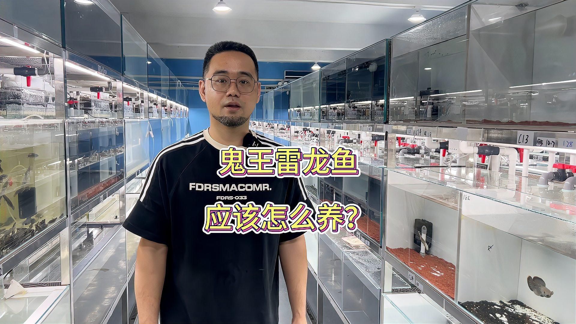 如何判斷鬼王雷龍是否健康，判斷鬼王雷龍是否健康，可以通過觀察其外觀、行為和生理指標來進行檢查 如何判斷鬼王雷龍是否健康，判斷鬼王雷龍是否健康，可以通過觀察其外觀、行為和生理指標來進行檢查 龍魚百科 第1張