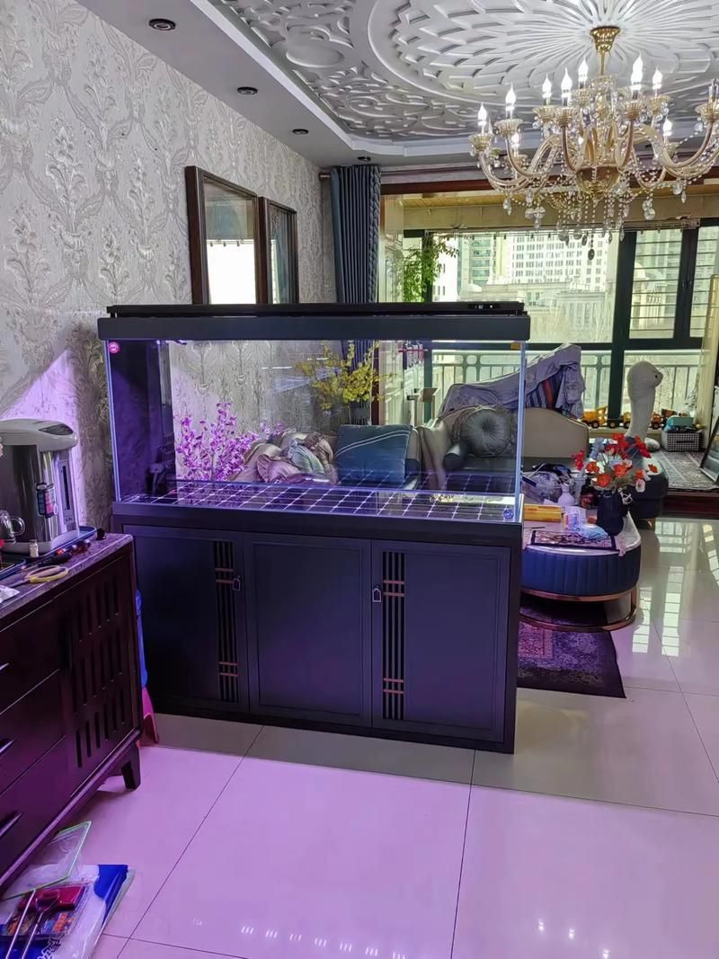 給我推薦幾款適合初學者的龍魚缸，新手養魚避坑之魚缸篇 給我推薦幾款適合初學者的龍魚缸，新手養魚避坑之魚缸篇 龍魚百科 第5張