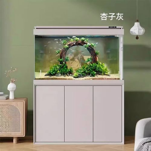 給我推薦幾款適合初學者的龍魚缸，新手養魚避坑之魚缸篇 給我推薦幾款適合初學者的龍魚缸，新手養魚避坑之魚缸篇 龍魚百科 第4張