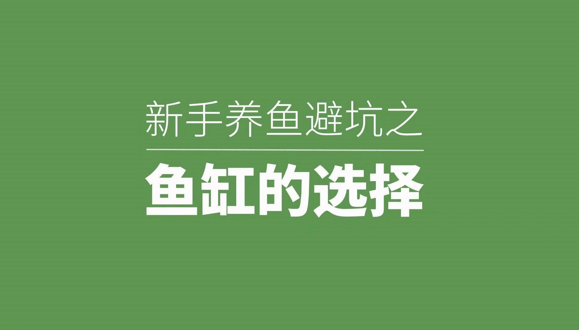 給我推薦幾款適合初學者的龍魚缸，新手養魚避坑之魚缸篇 給我推薦幾款適合初學者的龍魚缸，新手養魚避坑之魚缸篇 龍魚百科 第14張