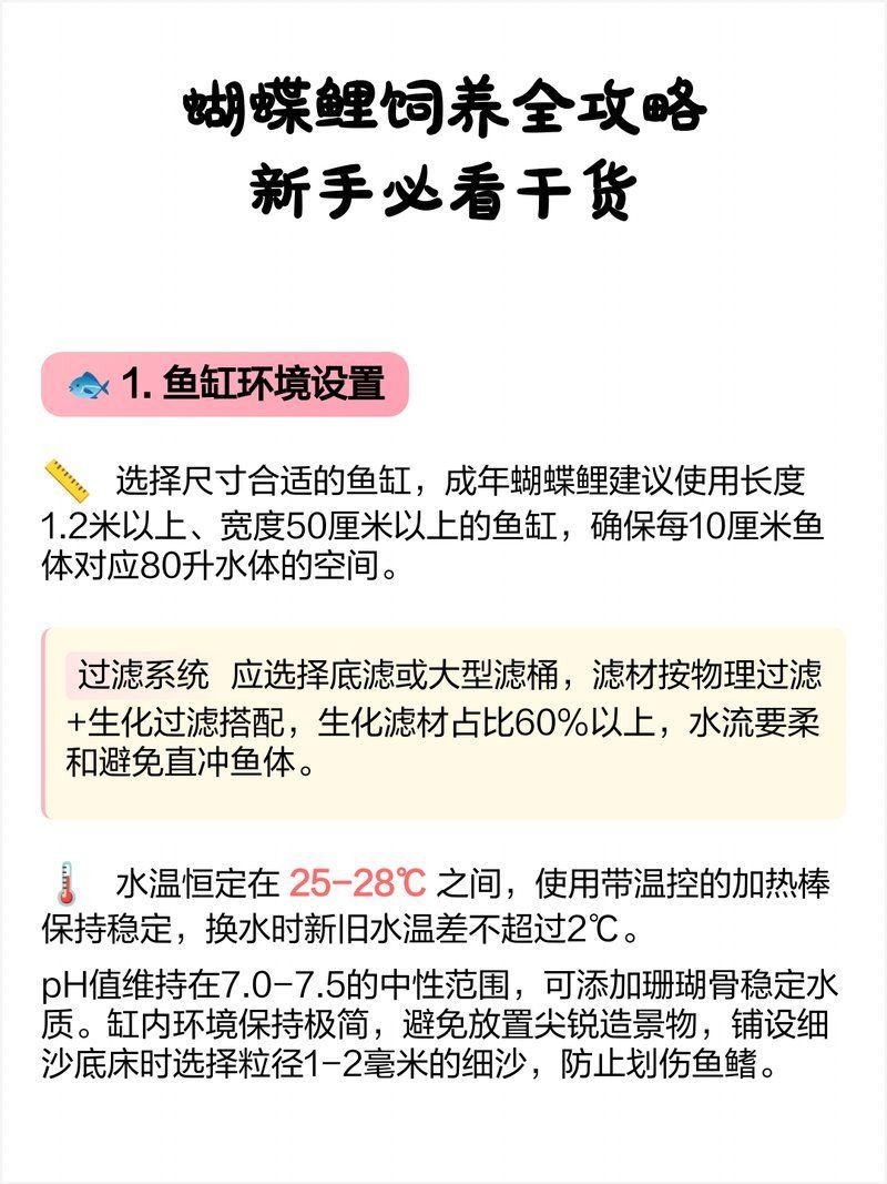蝴蝶鯉需要什么樣的過濾系統？，|新手必看蝴蝶鯉過濾系統配置與花費詳解