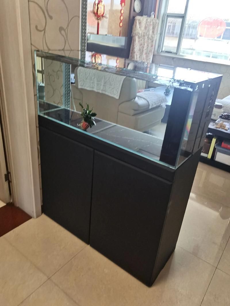 彩鰈魚缸哪個型號最好？，彩鰈mpg系列魚缸哪個型號最好 彩鰈魚缸哪個型號最好？，彩鰈mpg系列魚缸哪個型號最好 龍魚百科 第3張