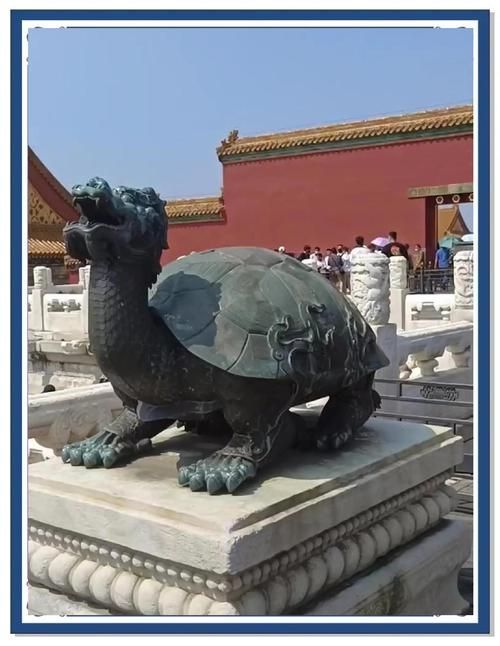 給我一張真正的龍龜圖片,真實的龍龜圖片 龍魚百科 第22張 給我一張真正的龍龜圖片,真實的龍龜圖片 給我一張真正的龍龜圖片,真實的龍龜圖片 龍魚百科 第22張