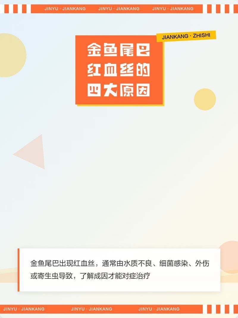 尾鰭血絲會自行消失嗎 尾鰭血絲會自行消失嗎 龍魚百科 第2張