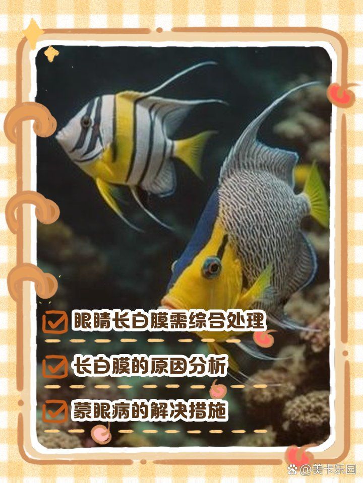 七彩神仙魚蒙眼有哪些治療方法，七彩神仙魚蒙眼怎么辦 七彩神仙魚蒙眼有哪些治療方法，七彩神仙魚蒙眼怎么辦 龍魚百科 第2張