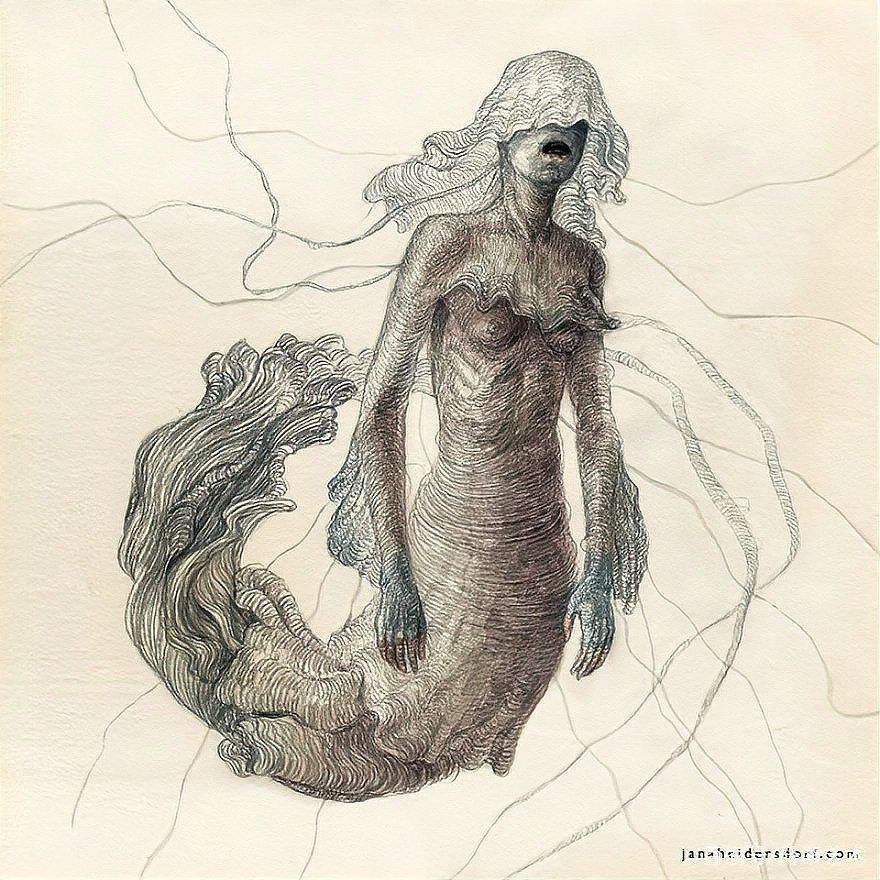 黑影道人魚，“黑影道人魚iusassimilis） 黑影道人魚，“黑影道人魚iusassimilis） 龍魚百科 第2張