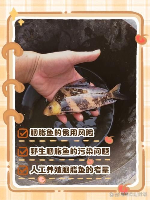 如何判斷飛鳳魚是否患病？，“飛鳳魚（pterophyllumscalare）觀賞魚疾病診斷