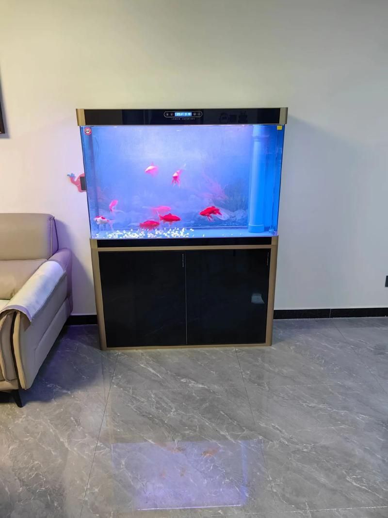 有沒有更多魚缸品牌推薦，選擇魚缸選擇什么牌子好 有沒有更多魚缸品牌推薦，選擇魚缸選擇什么牌子好 龍魚百科 第5張