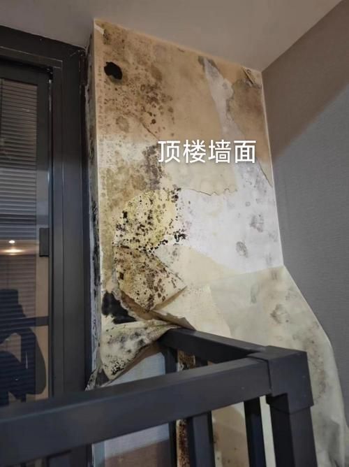 魚缸壓塌樓板后多久能修復，魚缸壓塌樓板修復流程 魚缸壓塌樓板后多久能修復，魚缸壓塌樓板修復流程 龍魚百科 第5張