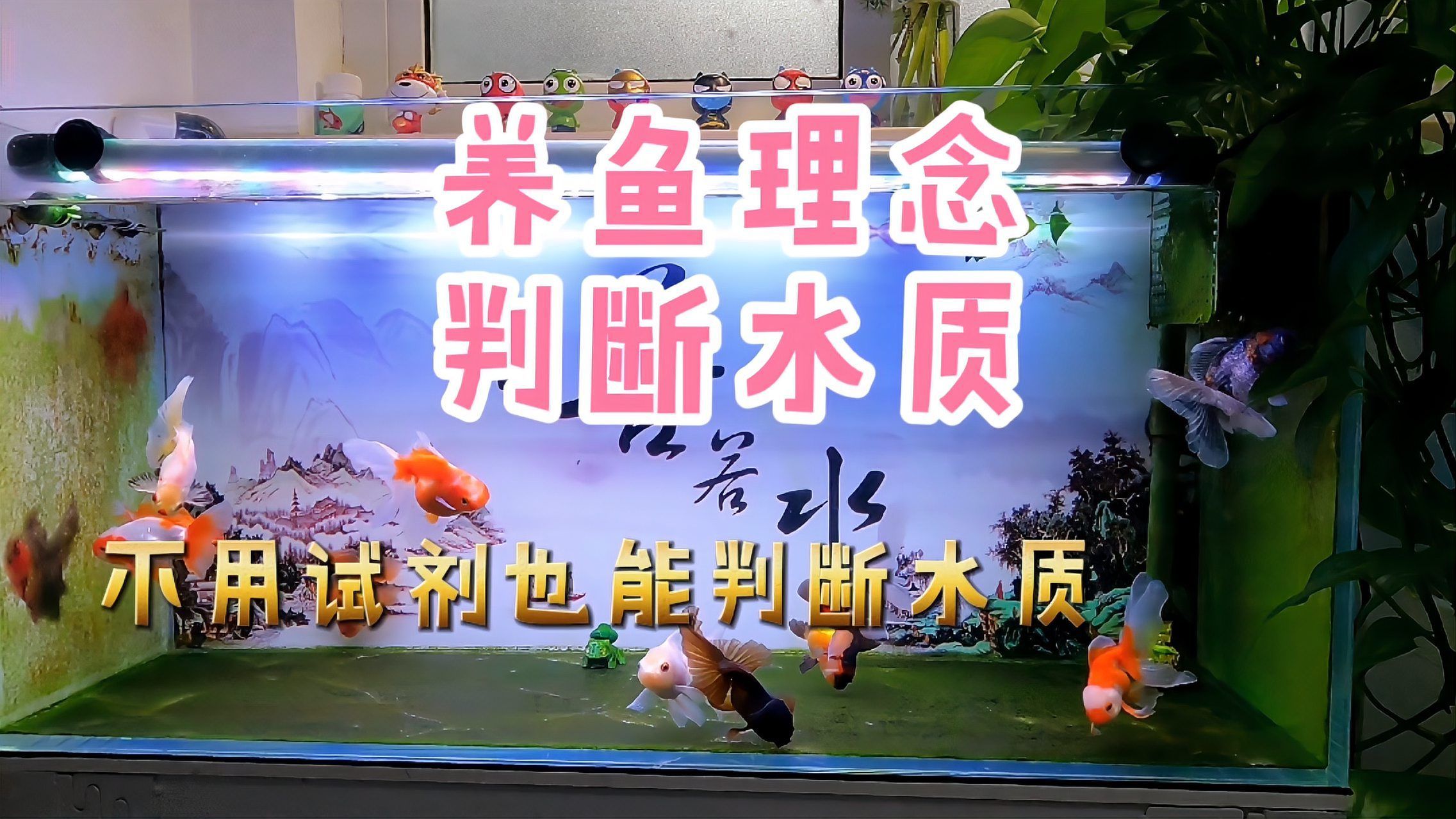 如何判斷水質是否適合觀賞魚？，養魚筆記第2季04:48判斷水質是否適合觀賞魚 如何判斷水質是否適合觀賞魚？，養魚筆記第2季04:48判斷水質是否適合觀賞魚 龍魚百科 第1張