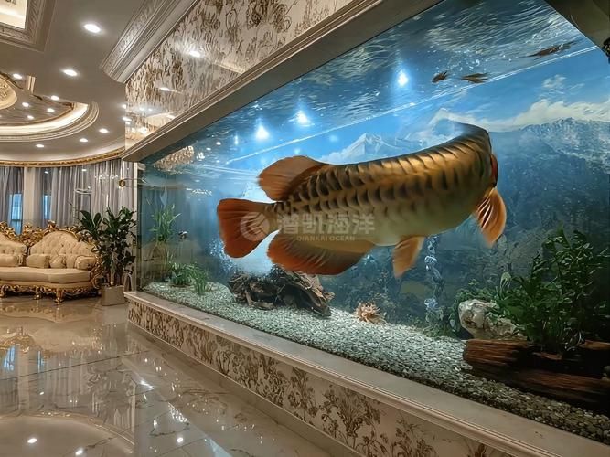 亞克力材質(zhì)的龍魚缸有哪些優(yōu)缺點(diǎn)?,亞克力魚缸的優(yōu)缺點(diǎn) 龍魚百科 第5張 亞克力材質(zhì)的龍魚缸有哪些優(yōu)缺點(diǎn)?,亞克力魚缸的優(yōu)缺點(diǎn) 亞克力材質(zhì)的龍魚缸有哪些優(yōu)缺點(diǎn)?,亞克力魚缸的優(yōu)缺點(diǎn) 龍魚百科 第5張