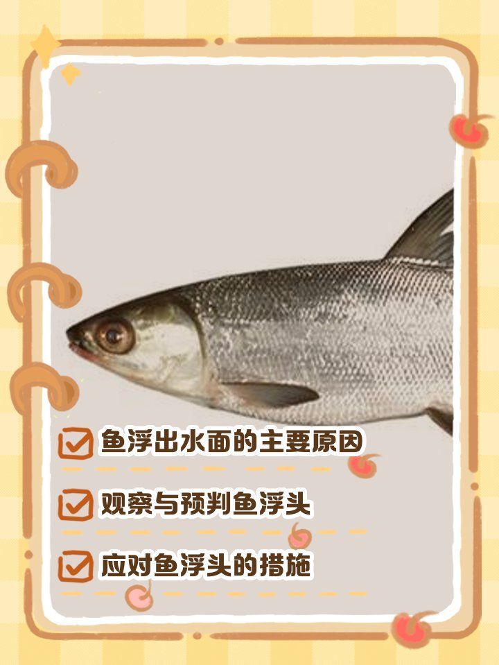 魚兒浮頭如何緊急處理，天熱養的魚浮出水面怎么辦