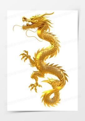 給我一些金頭金龍和古典金龍的圖片,金頭金龍與古典金龍是兩種具有不同歷史和文化背景的龍形象 龍魚百科 第11張 給我一些金頭金龍和古典金龍的圖片,金頭金龍與古典金龍是兩種具有不同歷史和文化背景的龍形象 給我一些金頭金龍和古典金龍的圖片,金頭金龍與古典金龍是兩種具有不同歷史和文化背景的龍形象 龍魚百科 第11張