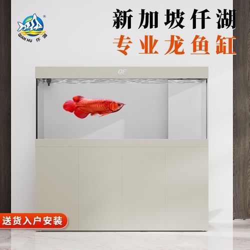 仟湖魚缸有哪些系列？，仟湖魚缸系列 仟湖魚缸有哪些系列？，仟湖魚缸系列 龍魚百科 第16張