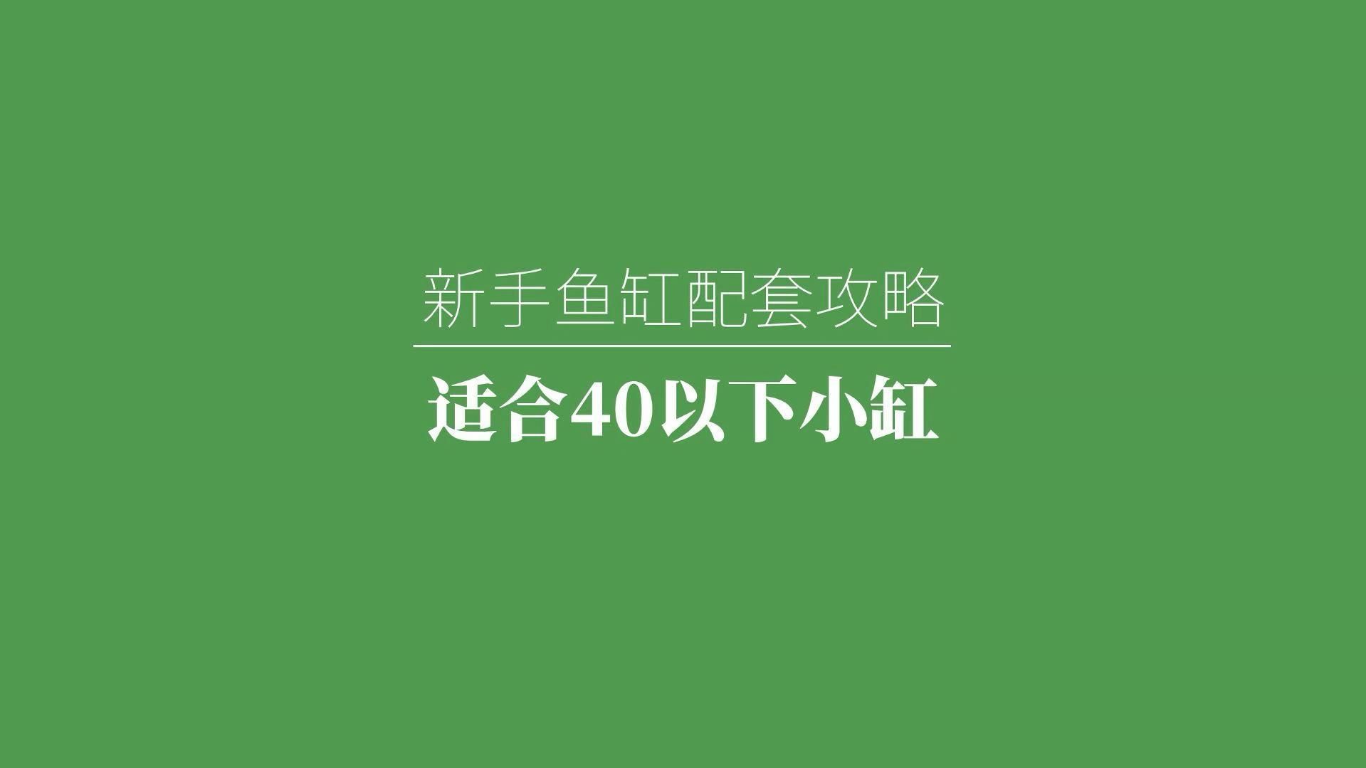 養魚需要哪些基本設備，新手養魚設備推薦 養魚需要哪些基本設備，新手養魚設備推薦 龍魚百科 第2張