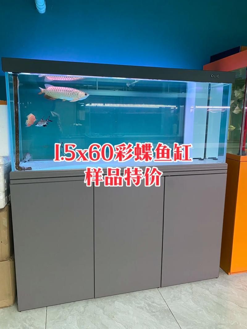 彩蝶魚缸有哪些型號推薦？，彩蝶pr30背濾缸大揭秘