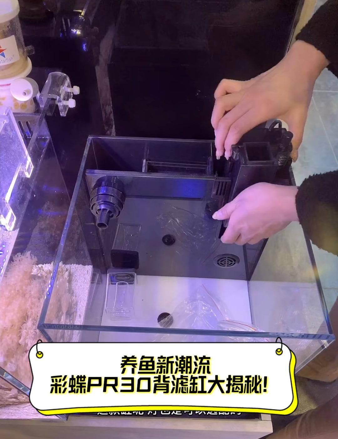 彩蝶魚缸有哪些型號推薦？，彩蝶pr30背濾缸大揭秘