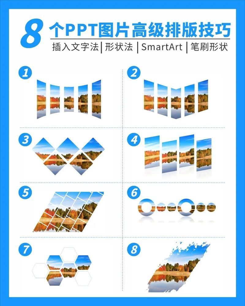 有沒有更多美觀的圖片排版案例？，圖片排版案例與設(shè)計思路 有沒有更多美觀的圖片排版案例？，圖片排版案例與設(shè)計思路 龍魚百科 第4張