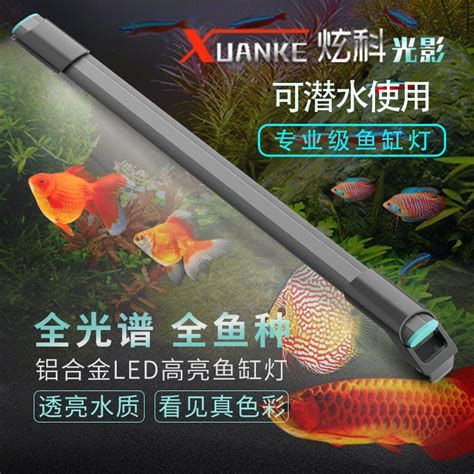 有哪些品牌魚燈適合銀龍魚？，銀龍魚飼養環境如何選擇合適的魚燈